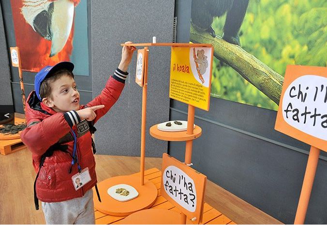 Frasi Sulla Cacca E Merda Scuolissima Com