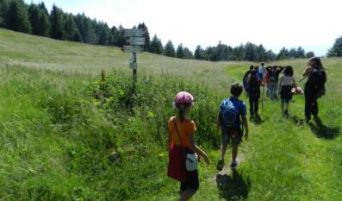 casa-degli-scoiattoli-bambini-camminano-prato