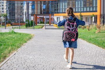 destabilizzazione del sistema quali sono le cause